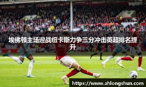 埃佛顿主场迎战纽卡斯力争三分冲击英超排名提升